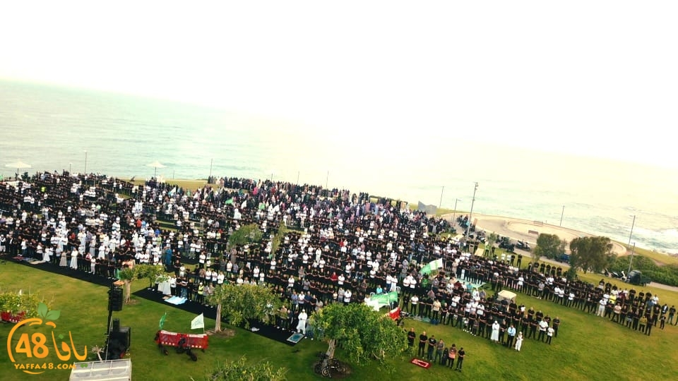 WhatsApp Image 2023-06-28 at 11.33.51 AM.jpeg